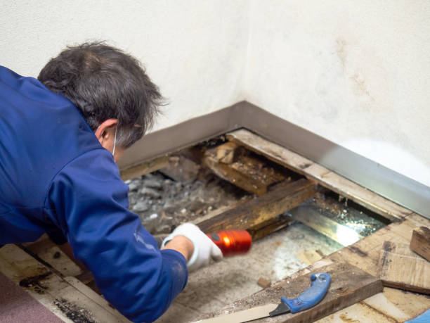 Best Crawl Space Mold Removal  in Saluda, SC