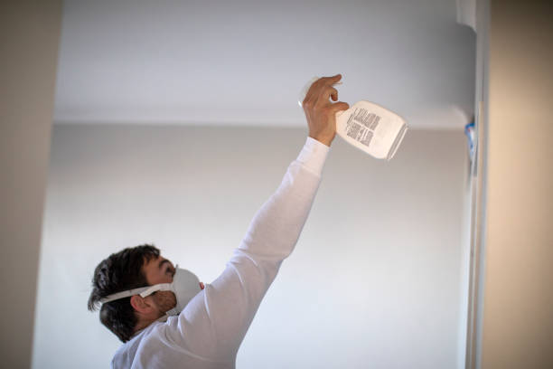  Saluda, SC Mold Removal Pros